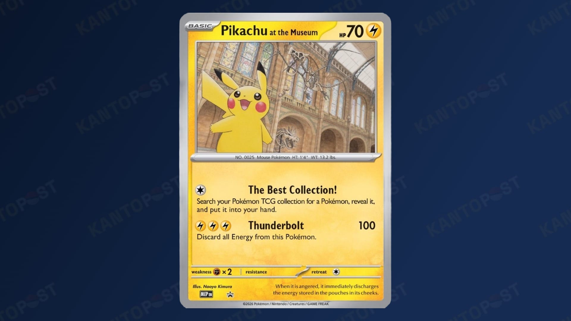 The Pikachu at the Museum Pokémon card promo from the Natural History Museum collaboration