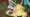 A close up image of the artwork of Charizard from the Shadowless Charizard Pokemon card